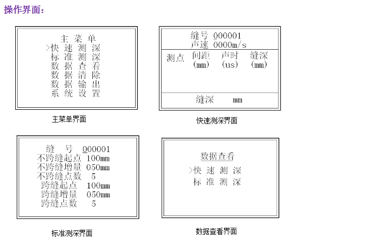 GTJ-FSY裂縫深度測(cè)試儀3.png